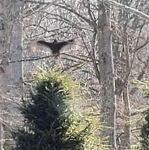 Meet your Posher, Jeannette